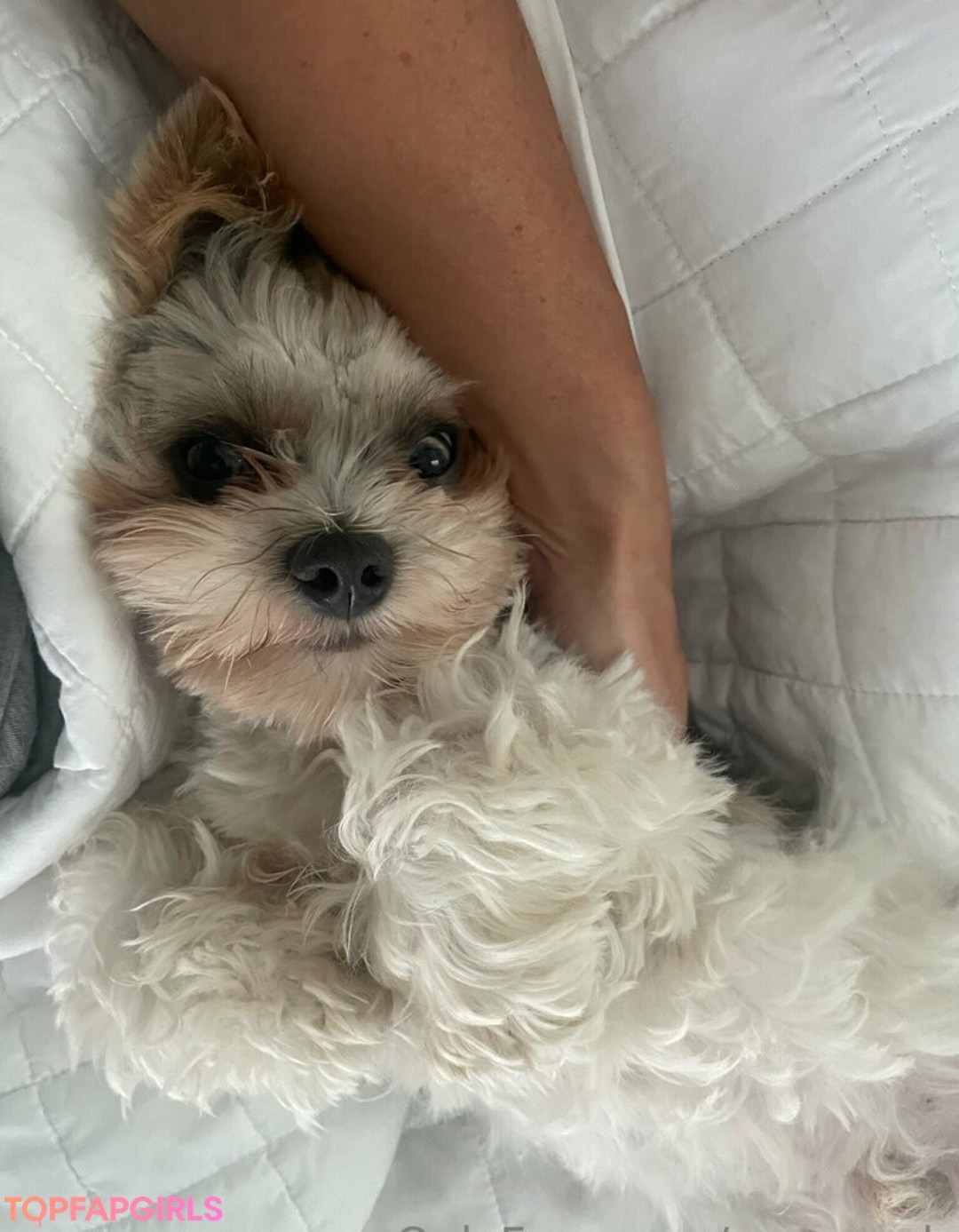 mary a b nudes actress archive