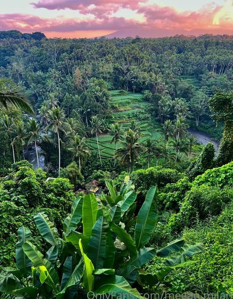 Megan Milan model exclusive gallery