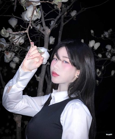 Naughty Rabbit top model images