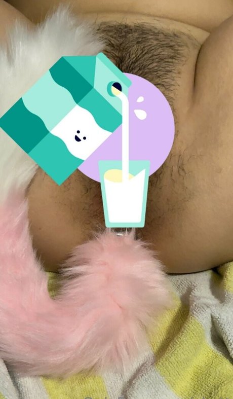 xkatt model hot archive