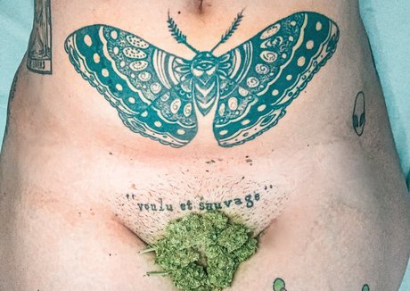 Lifeaspimenta best model img