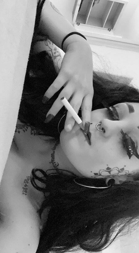 knockedxloose star nice archive