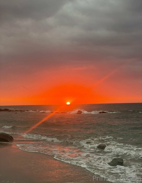 mma onlyfans nude gallery