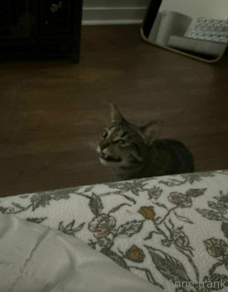 dark nipples onlyfans sexy nudes images