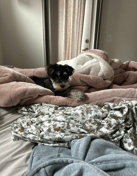 strapon onlyfans free image