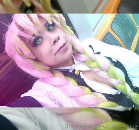 lycalopex ignis perfect star picture