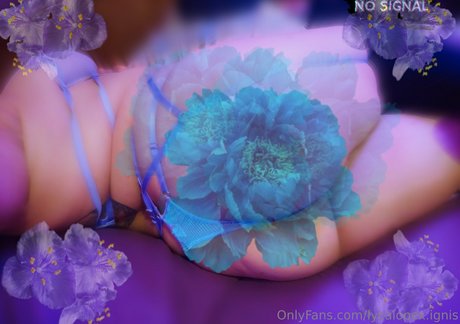 lycalopex ignis model top img