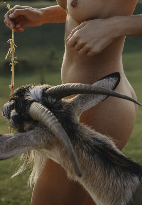 cum fetish onlyfans art porn galleries