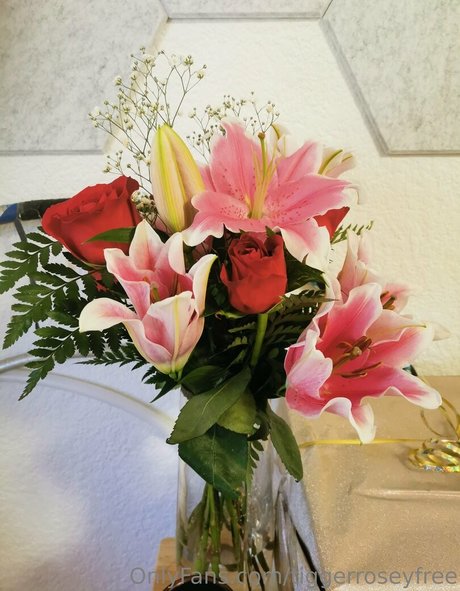 tiggerroseyfree pornographic star gallery