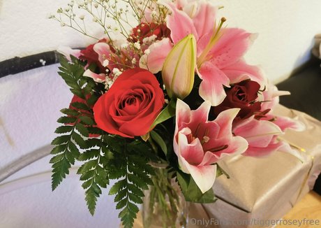 tiggerroseyfree nude star pics