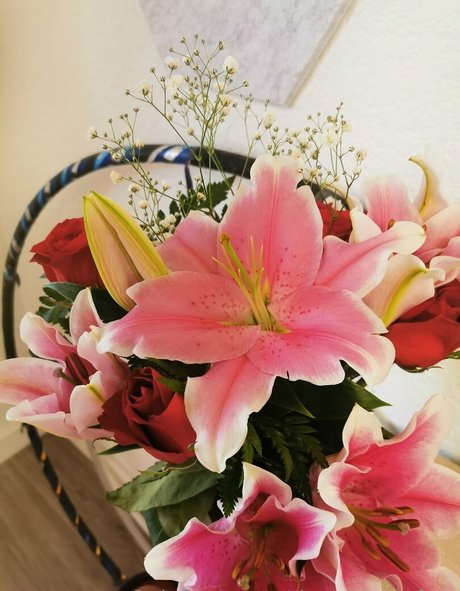 tiggerroseyfree xxx model galleries