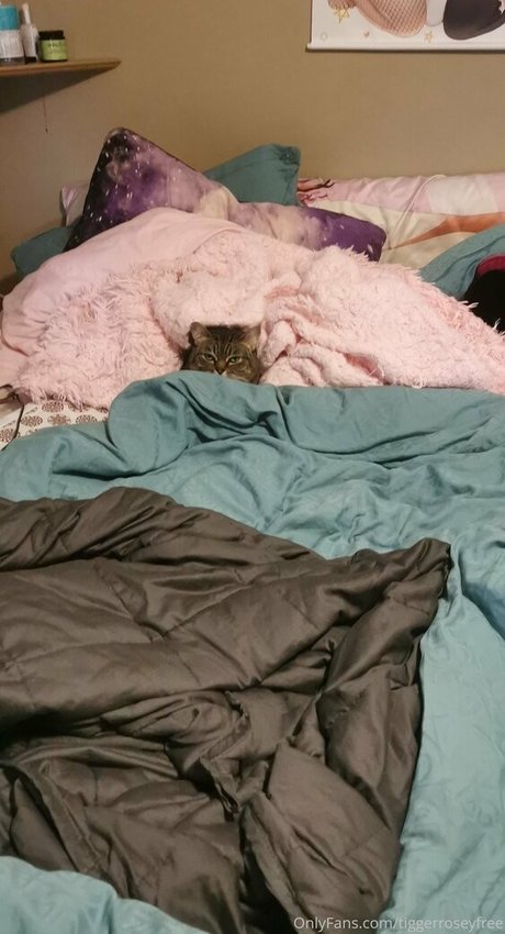 tiggerroseyfree free pornstar photos