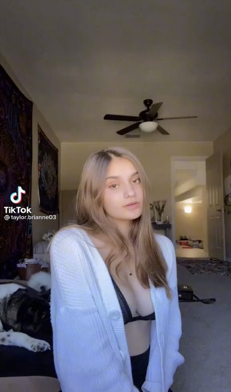 Taylor Brianne pornstar art images