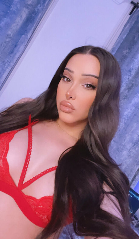 iliafox star art pictures