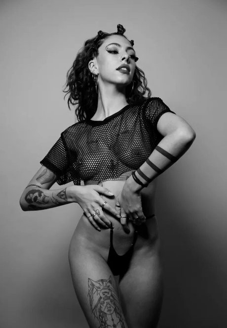 Lupe Cozzolino star perfect archive