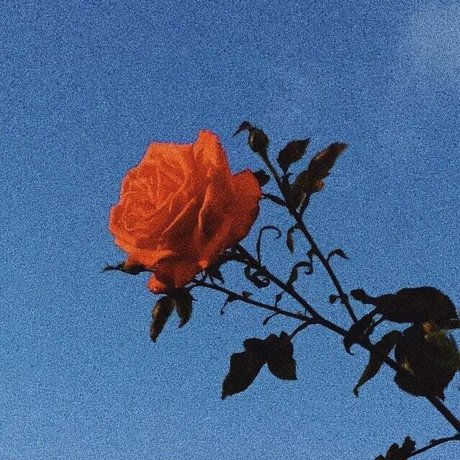 Princess Bitchass porn actress picture