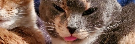 PrincessMaddieMaddz perfect star img