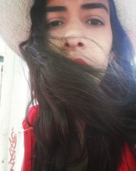 Vainilla model top picture