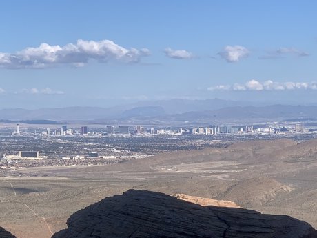 Pup Arlo hd model images