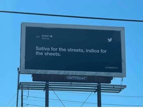 Prohibited pornstar xxx pics