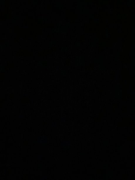 Queen T_ model free photo