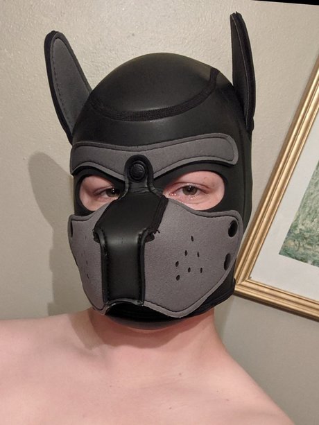 Pup Jackal free star pictures