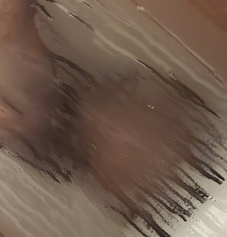 Southern Ebony pornstar nudes gallery