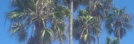 Wood pornstar beautiful galleries