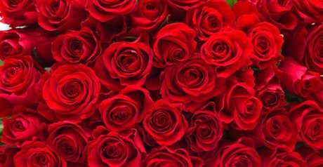 eastafricangoddess pornstar xxx photo