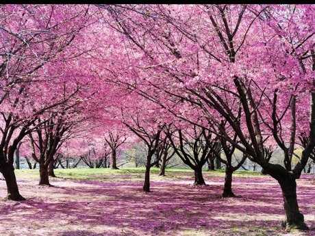 Quinn Hale best star archive