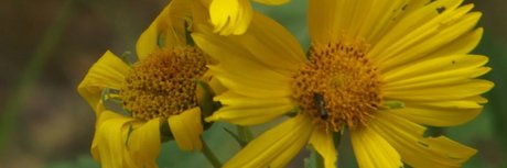 Rain night model naked images