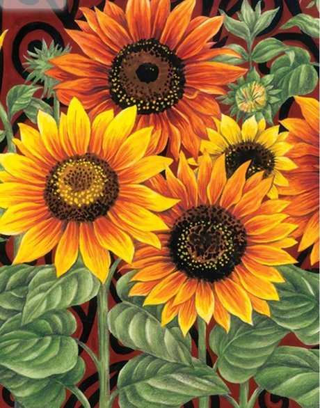 R my star adult picture