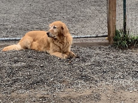 chubby goth onlyfans free naked pictures