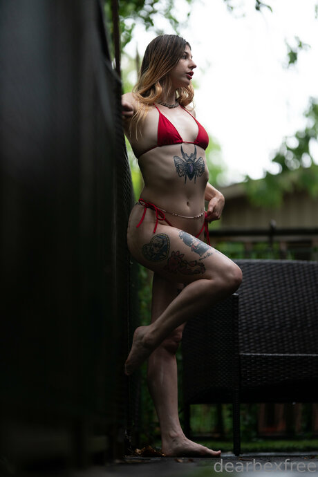 _dearbexfree sex model pictures