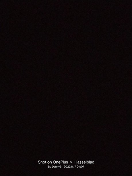 DannyB model free picture