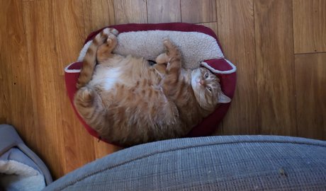 pawg girls onlyfans sexy nudes photo