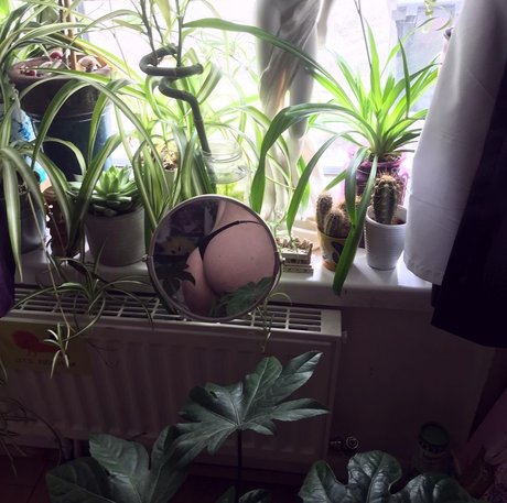 thedevilwearsdrama star erotic img