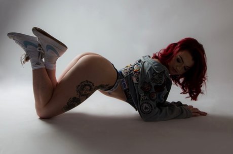 Darcy Babex art star archive