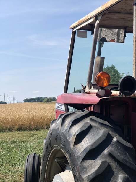 Dmich naked actress image