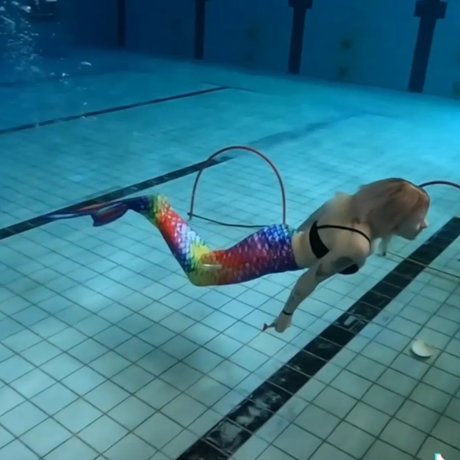 RainbowRoos top model image