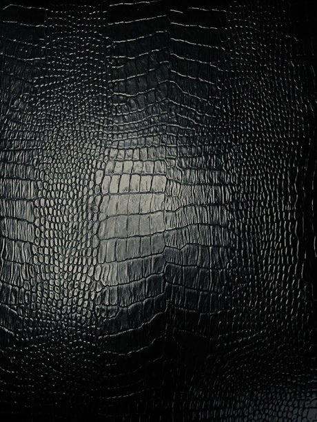 Rafael Zorzella hot actress picture