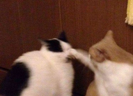 creampie princess onlyfans hd images