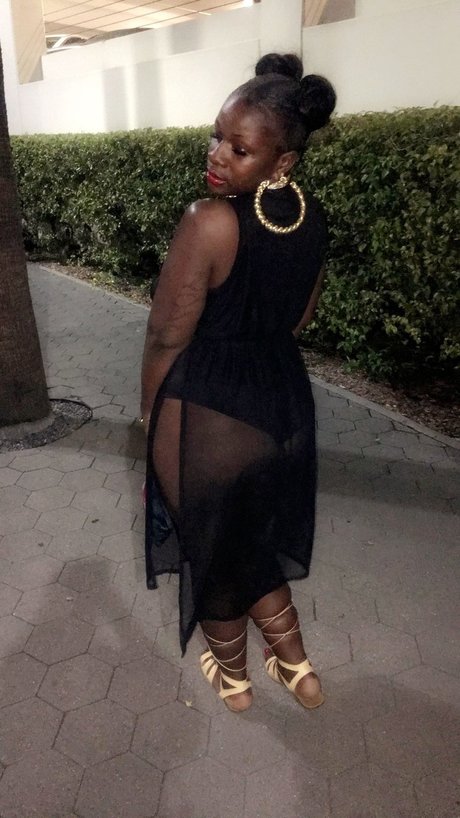 Reese jane pornstar nude galleries