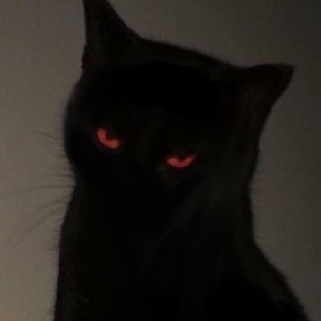 kathy pornographic star photos