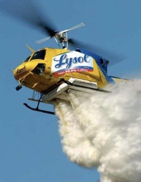 gakworld nice pornstar galleries