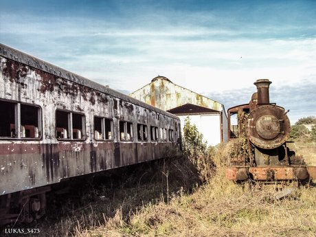 red scorpions best model picture