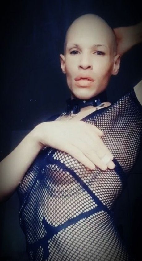 Redivivus Phoenix actress photo