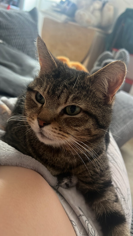 RedHairedKitten pornstar hd photos