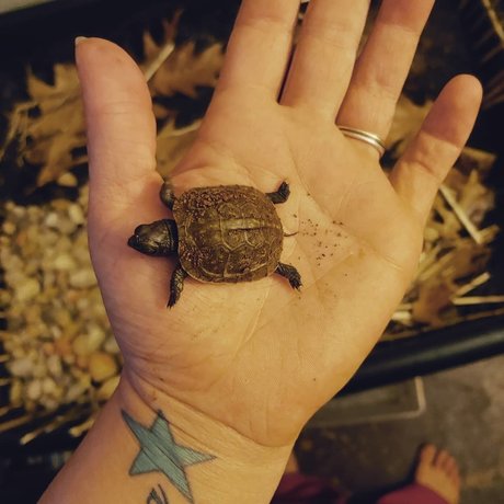 Rebel girl next door best model galleries