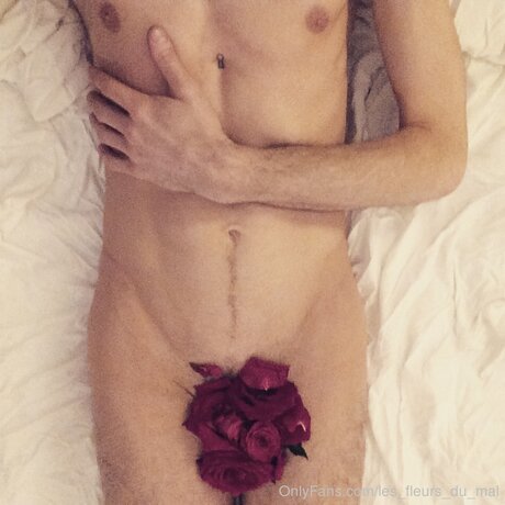 romantic amp amp kinky star best galleries